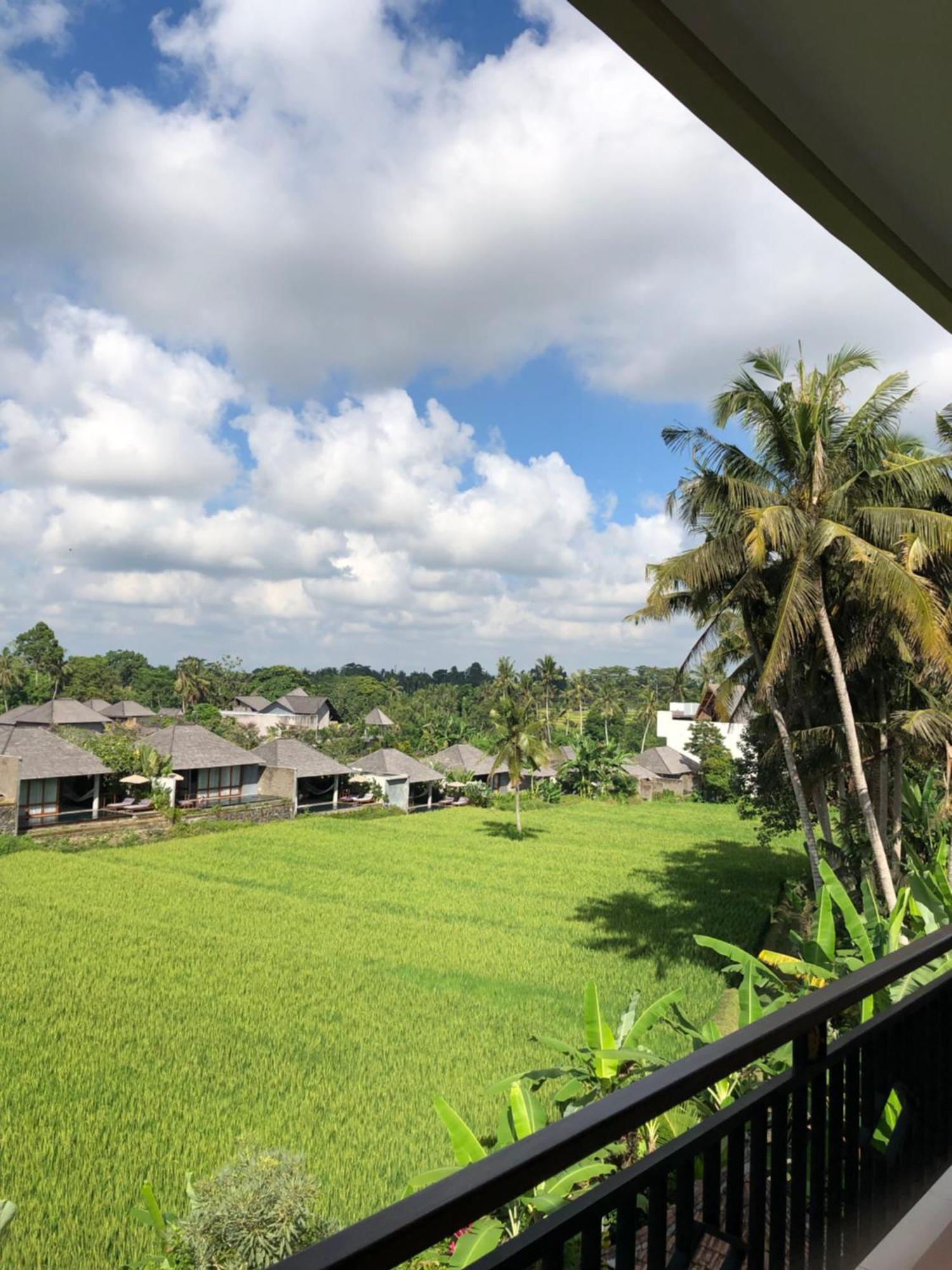 Mira Family Cottages Ubud Kültér fotó