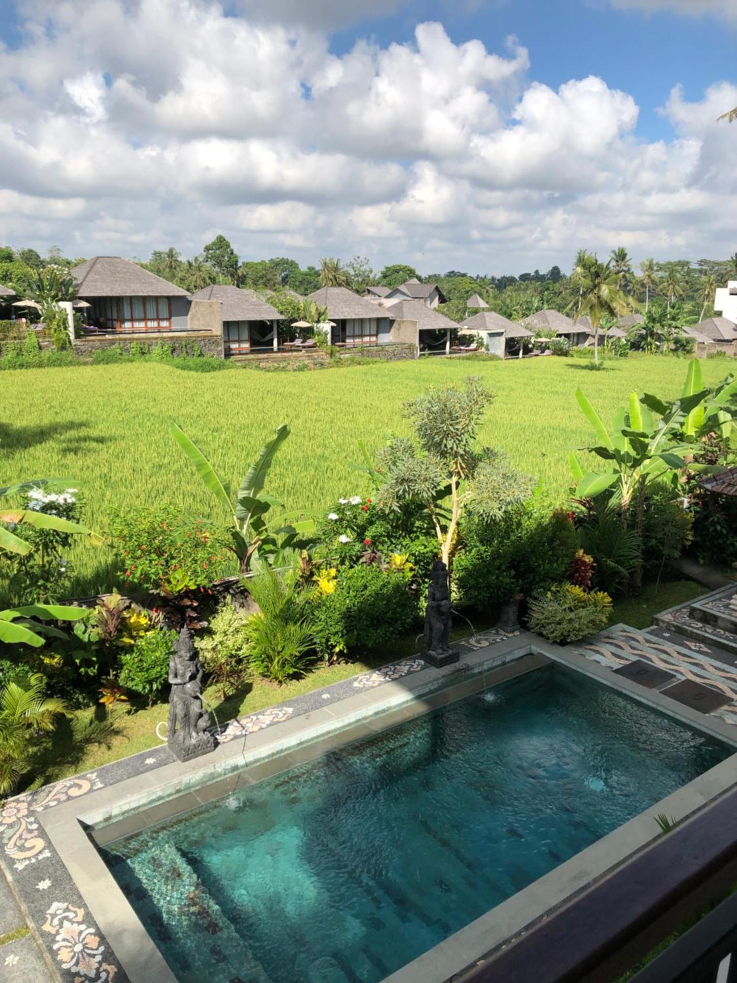 Mira Family Cottages Ubud Kültér fotó
