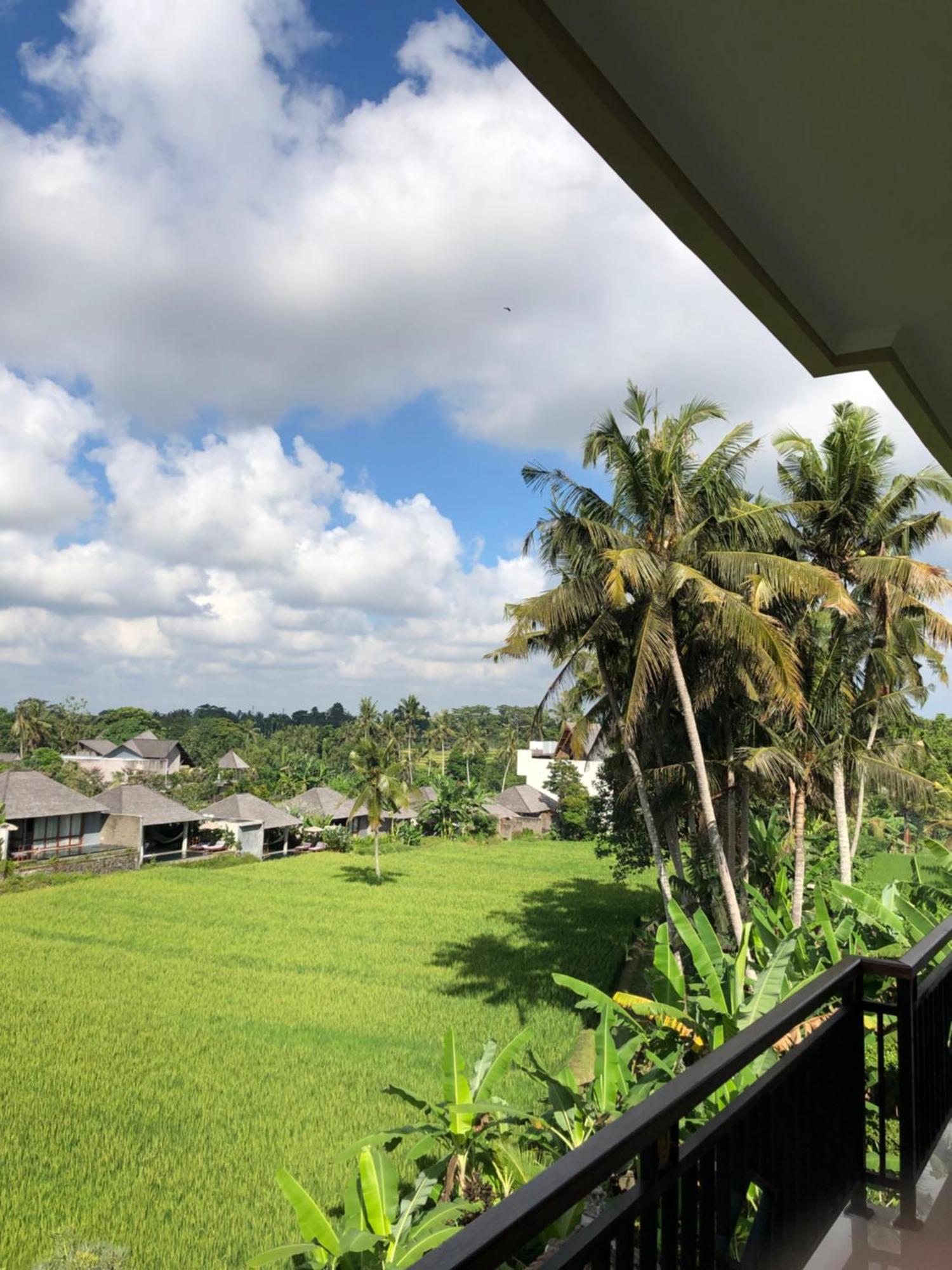 Mira Family Cottages Ubud Kültér fotó