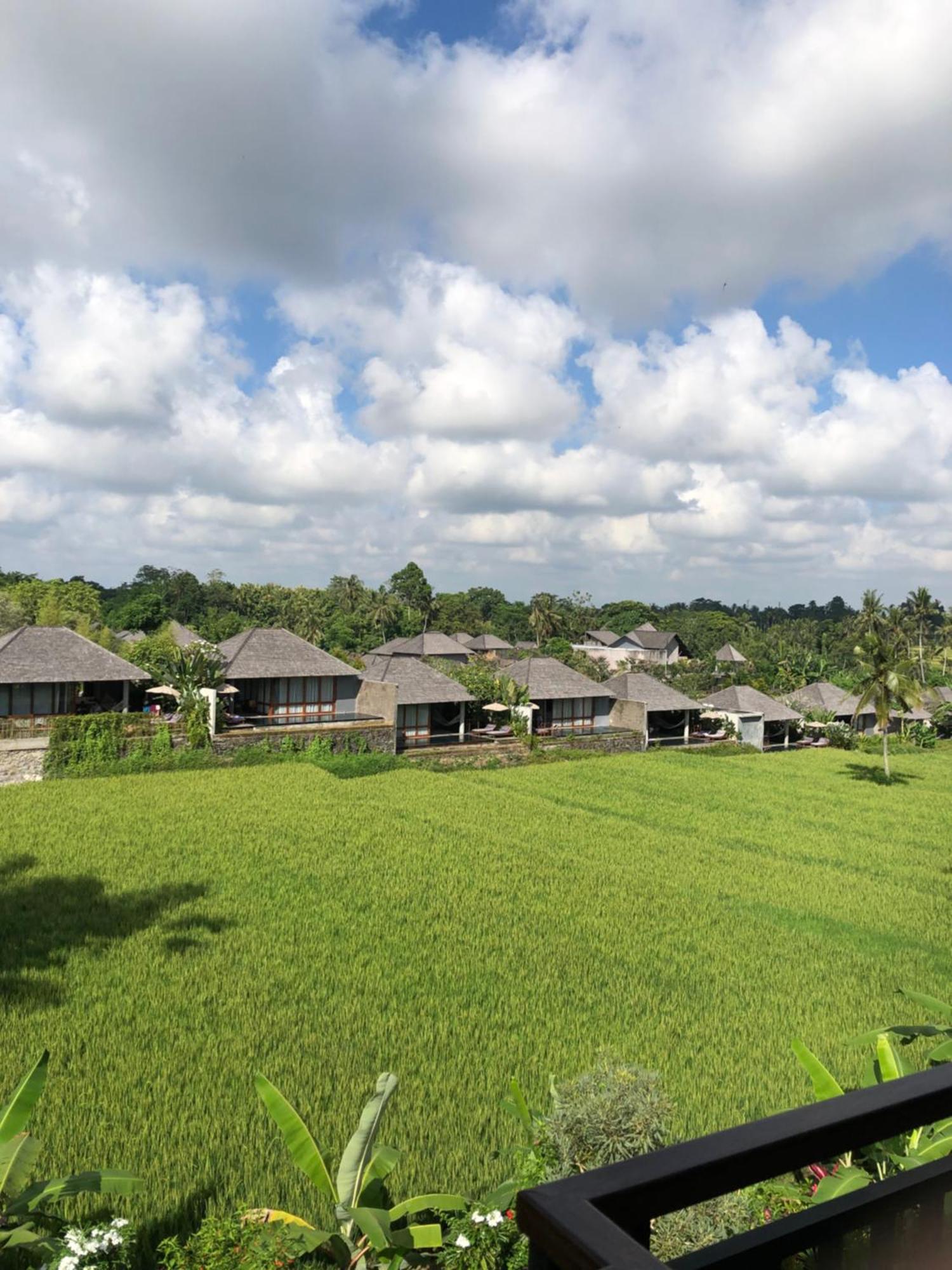 Mira Family Cottages Ubud Kültér fotó